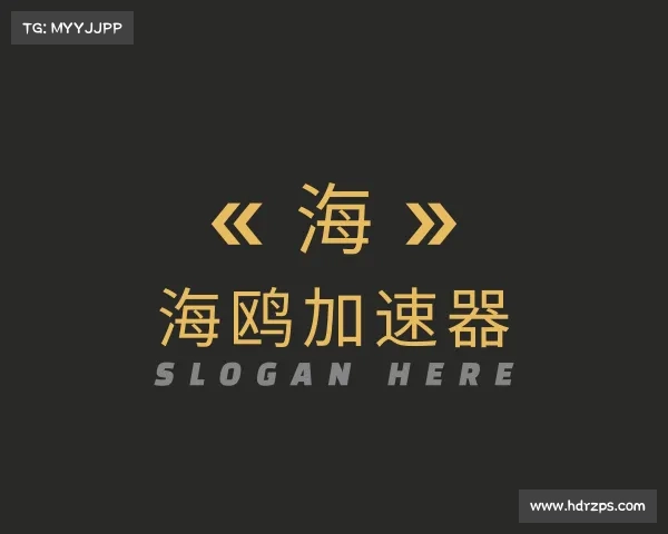 关于海鸥加速器