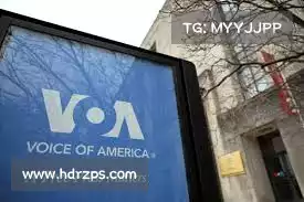 海鸥加速器v6.63——迅速识别流量障碍，助力网站飞跃提升！